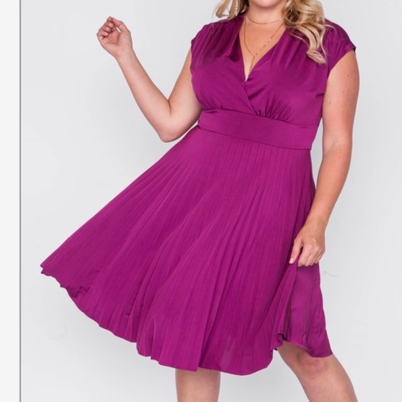 Dresses & Skirts - “Berry Merry Flirty” Plus Dress....